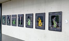 Andreas Antoni Fotograf | Kunst - Event - Reportage - Portrait