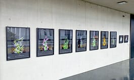 Andreas Antoni Fotograf | Kunst - Event - Reportage - Portrait