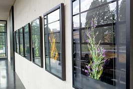 Andreas Antoni Fotograf | Kunst - Event - Reportage - Portrait