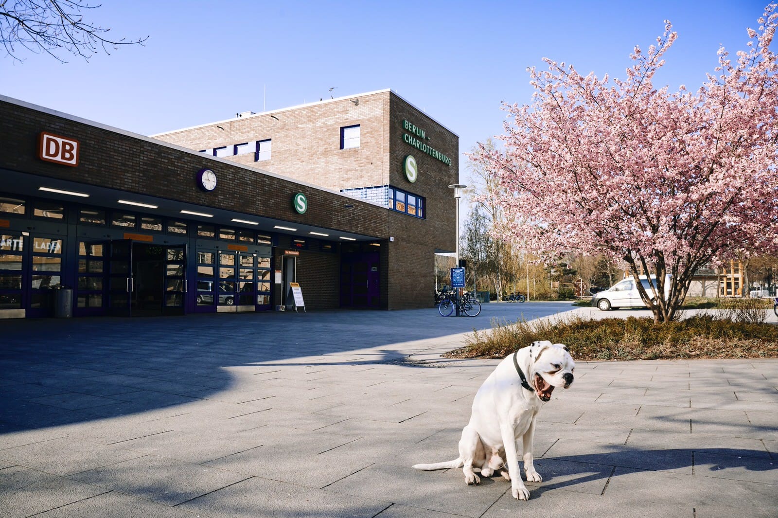 Andreas Antoni Fotograf | Kunst - Event - Reportage - Portrait